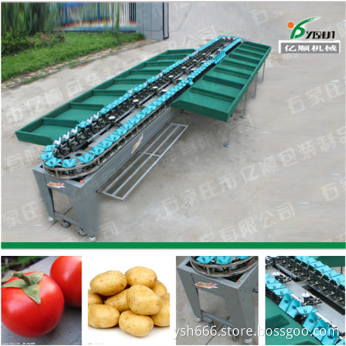 Electric tomato sorting machine factory price